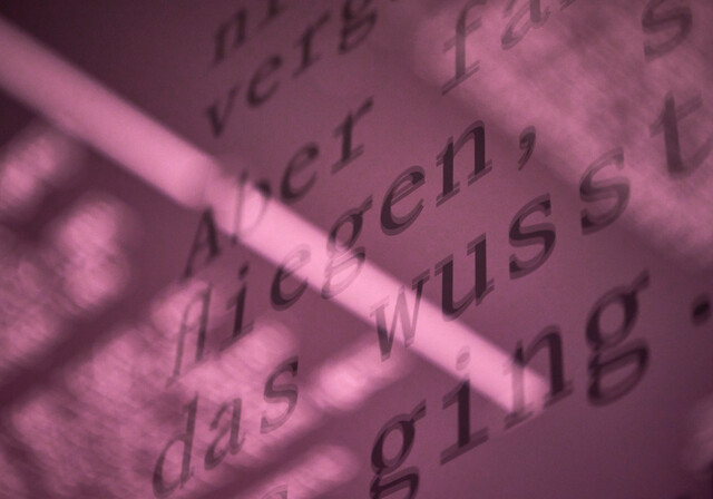 Merz Welt