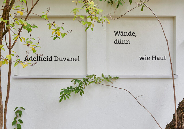 Adelheid Duvanels Himmel